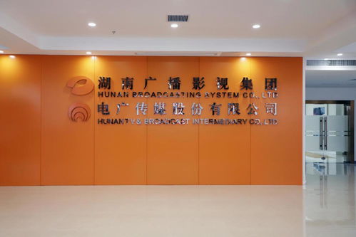 電廣傳媒上半年凈利潤4.71億創紀錄，藝術策劃與內容生態協同發展成亮點